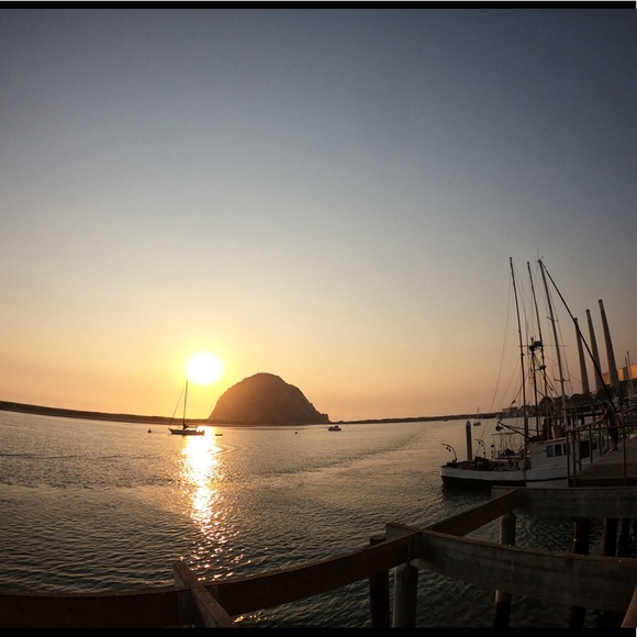 Meet your Posher, Roy - Picture 1 of 1